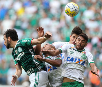 Palmeiras: A festa do ttulo brasileiro de 2016