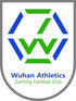 Wuhan Athletics