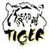 Tiger Academia