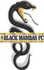 Black Mambas