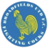 Broadfields United