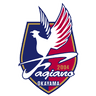Fagiano Okayama FC