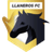 Llaneros FC