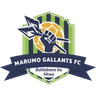 Marumo Gallants
