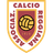 AC Reggiana 1919