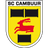 Cambuur