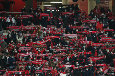 Liga BWIN: Benfica x Moreirense