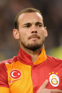 Wesley Sneijder (NED)