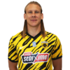 Domagoj Vida