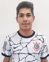 Vini Gomes