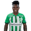 dier Ocampo