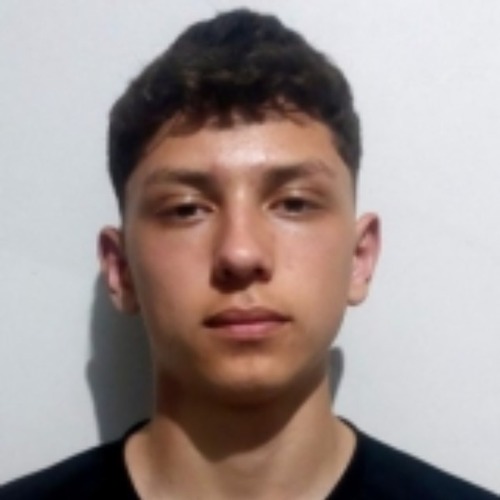 Bozio