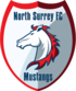 North Surrey