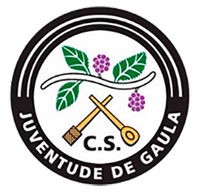 Juventude de Gaula