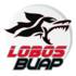 Lobos BUAP