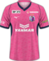 Cerezo Osaka