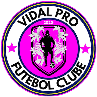 Vidal Pro 