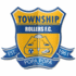 Township Rollers