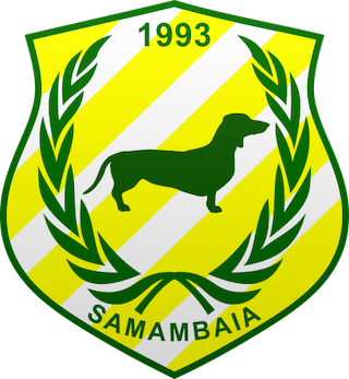 Samambaia