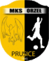 Orzel Prusice