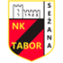 NK Tabor Sezana