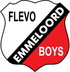 VV Flevo Boys