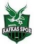 Inegol Kafkas Genlikspor