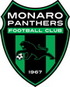 Monaro Panthers