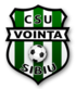 Vointa Sibiu