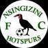 Nsingizini Hotspurs