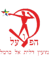 Hapoel Daliyat al-Karmel