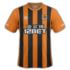 Hull City