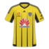 Wellington Phoenix