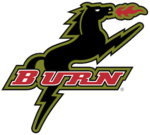 Dallas Burn