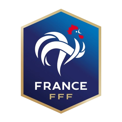 Resultado de imagem para FUTEBOL - FRANCÊS - LIGA 1 - LOGOS