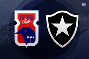 Pimpo marca no fim e d trs pontos e liderana ao Botafogo