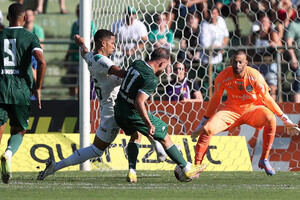 Palmeiras apenas empata com Guarani, mas garante melhor campanha