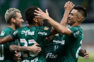 Sem piedade e com gol de Papagaio, Palmeiras goleia o Novorizontino