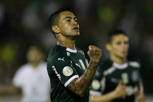 No adeus de Edu Dracena, Dudu e Veron brilham e Palmeiras atropela o Gois
