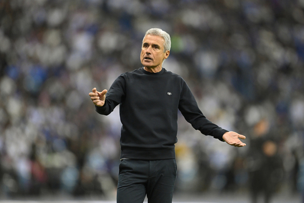 Cuca, Lus Castro, Renato Gacho... Santos monitora mercado em busca de novo treinador