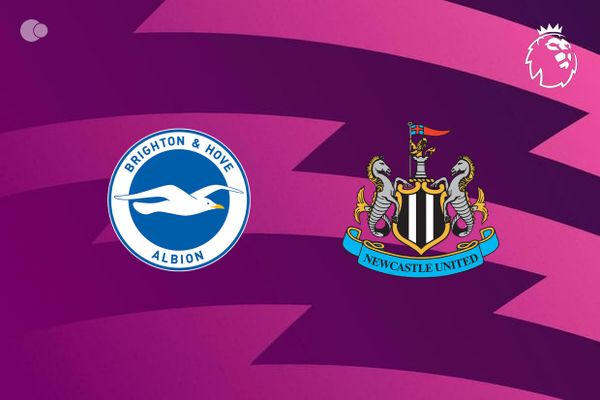Brighton & Hove Albion x Newcastle - Retrospecto, escalaes e onde assistir