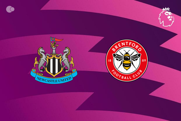 Newcastle x Brentford - Retrospecto, escalaes e onde assistir