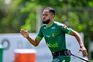 Tiago Nunes prega jogo a jogo para Botafogo recuperar confiança e ganhar o  Brasileirão 