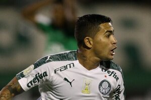 Proposta milionria do Catar coloca em dvida discurso recente de Dudu no Palmeiras