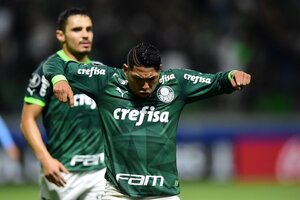 Palmeiras atropela Bolvar e garante melhor campanha: veja como foi