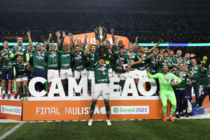 Alviverde Imponente, Santos e So Paulo sem representantes: Veja a seleo do Paulisto