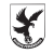 Pedroguense